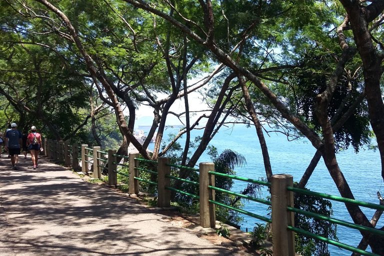 Trilha Morro da Urca Passeios no Rio de Janeiro