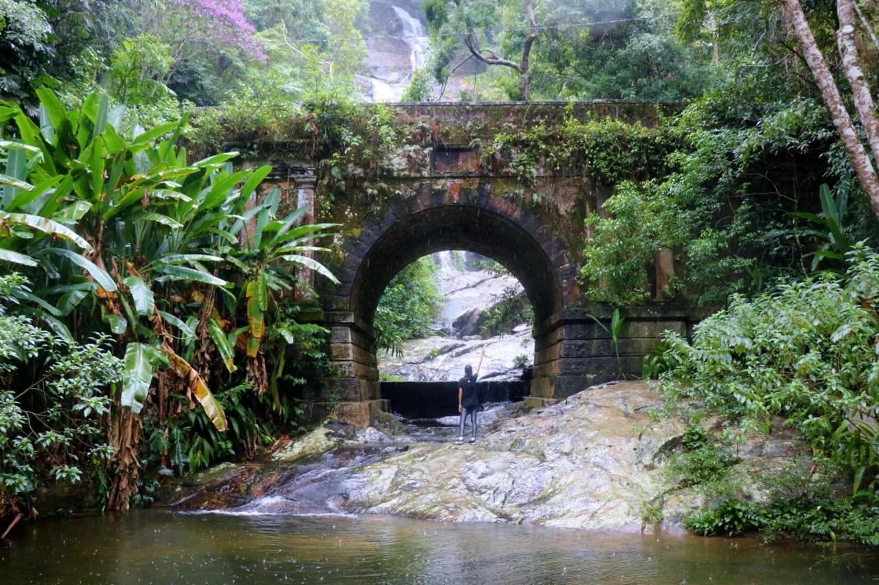 Floresta da Tijuca
