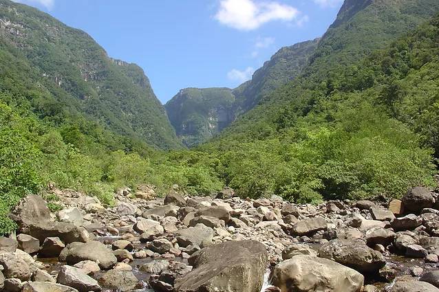 A origem do malacara - Cavalus