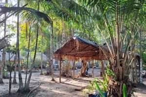 Casa Amazônica