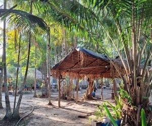 Casa Amazônica