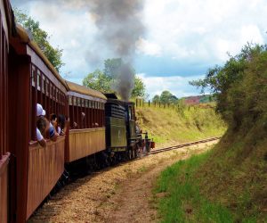 Durante todo o caminho, Maria Fumaça vai pintando de cinza o céu entre Tiradentes e São João Del Rei @meudestinoelogoali