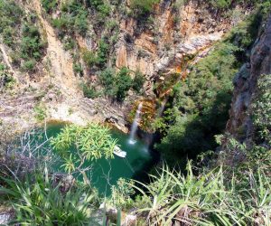 Em meio às águas, a vegetação desafia as leis da física e permanecem firmes nos paredõe s@meudestinoelogoali