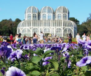 Jardim Botânico é considerado um cartão postal de Curitiba @meudestinoelogoali