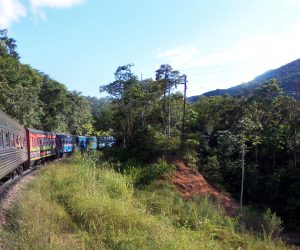 Passeio de trem de Curitiba até Morretes passa pela serra do mar @meudestinoelogoali