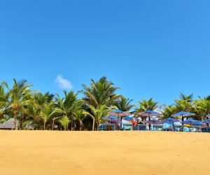 Praia Trancoso @meudestinoelogoali