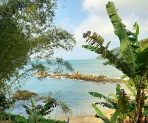 Praias Ilhabela @meudestinoelogoali