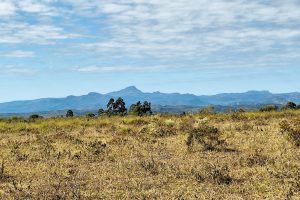 Trilha caminho dos Escravos @meudestinoelogoali